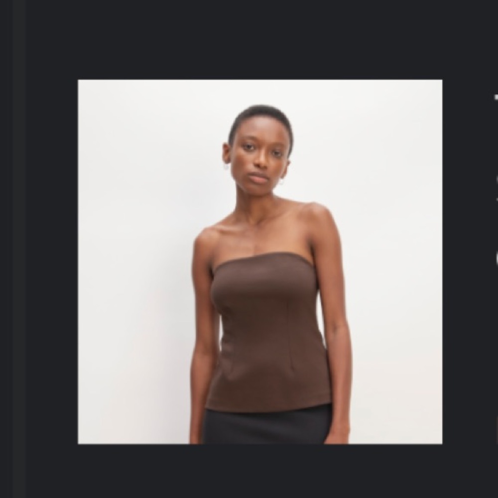 Everlane Chocolate Brown Tube Top